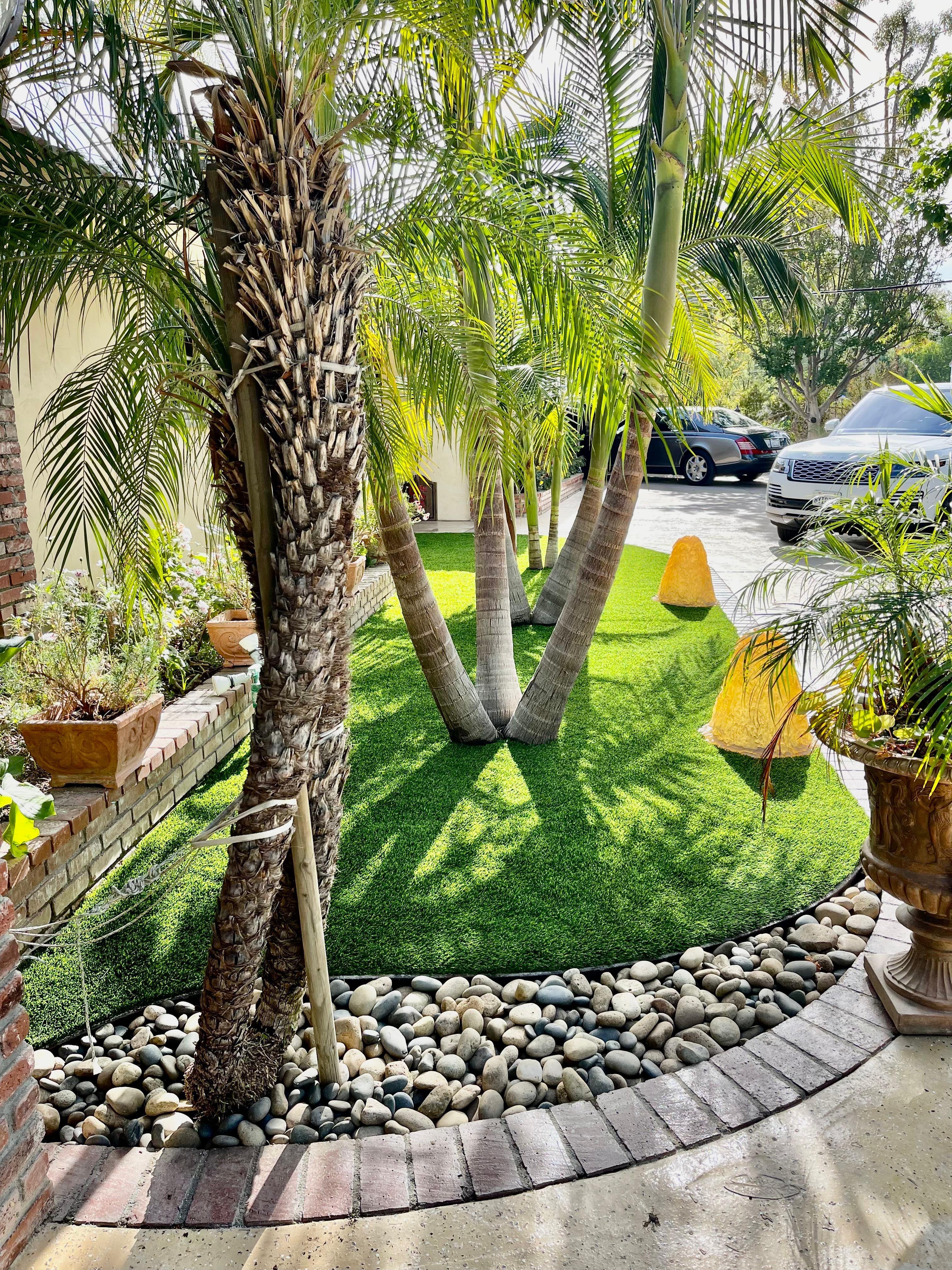 Front yard with palms, river rock border and brick edging
